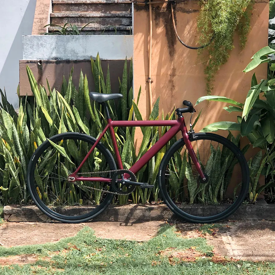 retrosped_drome2_2.jpg